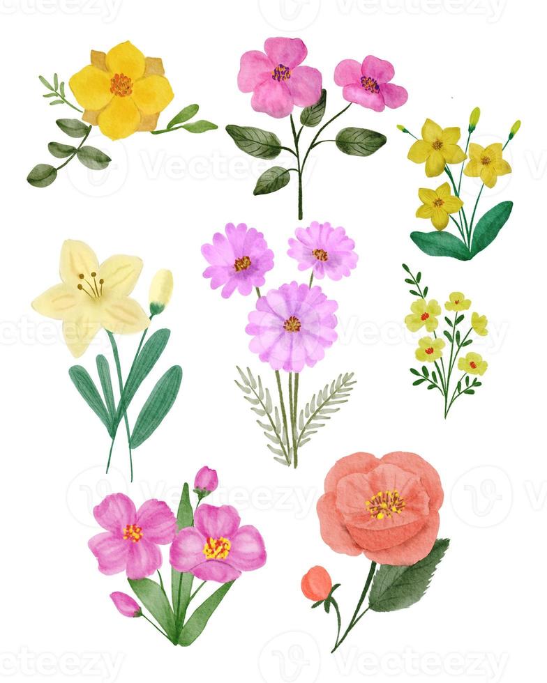 dibujo de acuarela de flores en diseño romántico. arte ilustrativo de flora rosa, lirio, dahlia, tulipán, ramo de hibisco. flor primavera verano naturaleza fondo decoración pintura conjunto colección en blanco foto