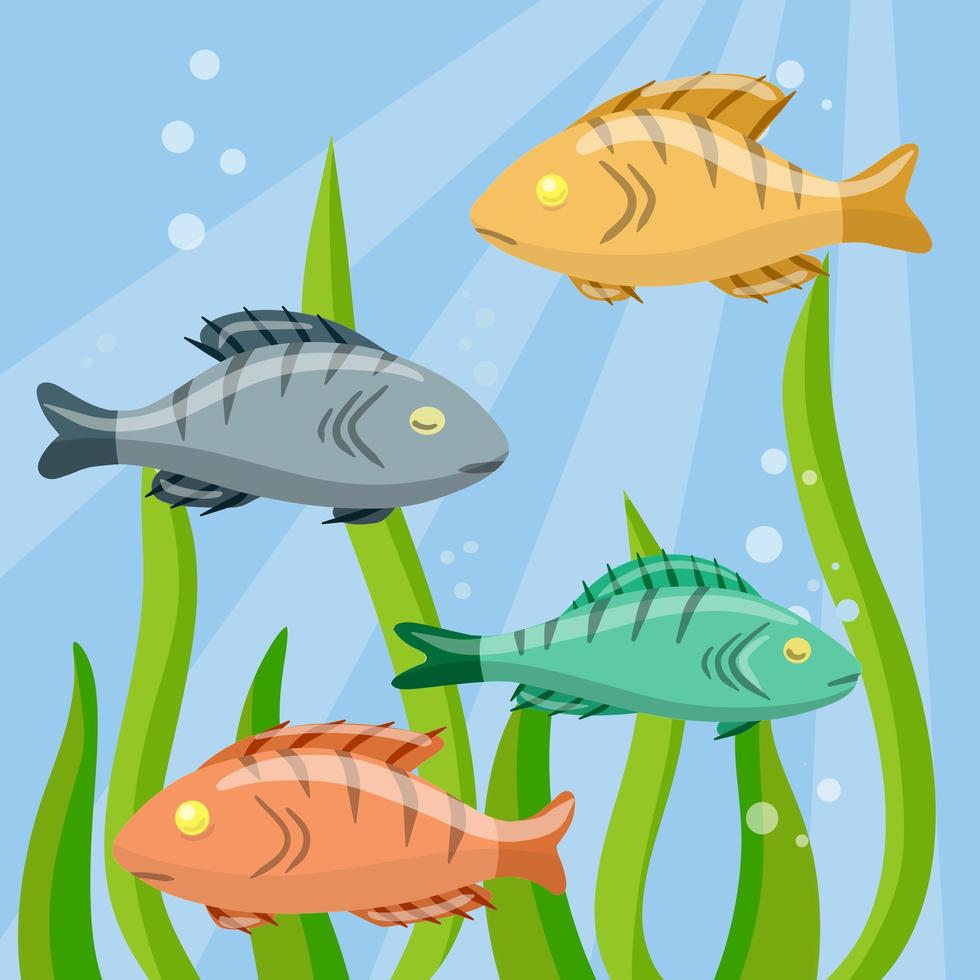 Set of fish. River animal with scales, fins and tail. Underwater life. vector