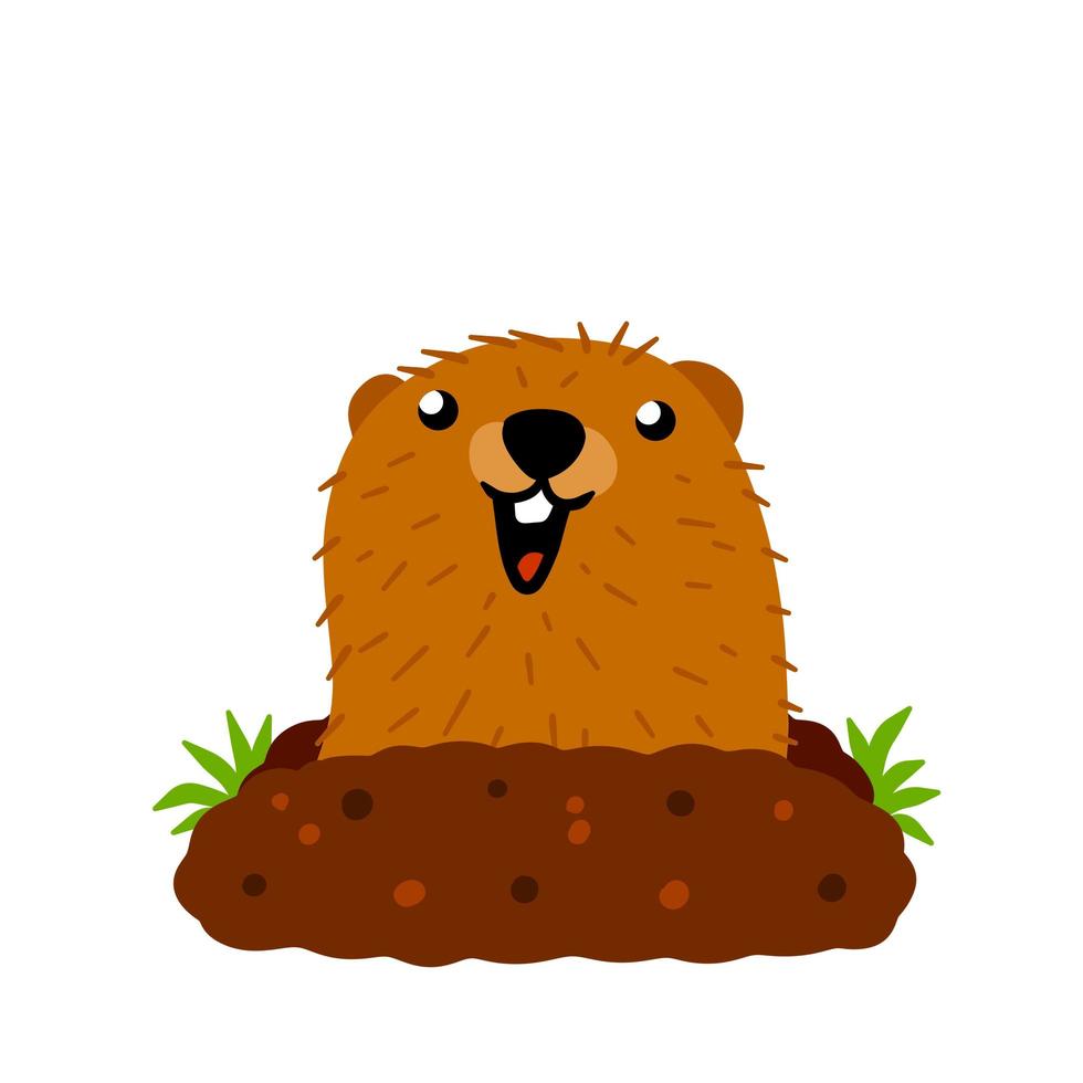 Groundhog Day. Funny marmot crawled out of earthen hole vector