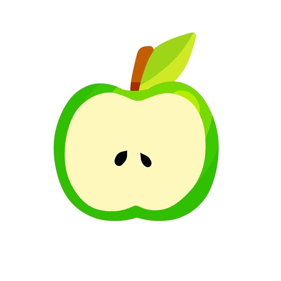 Half apple. Sliced fruit. Ingredient with vitamins. Vegan sweet food vector