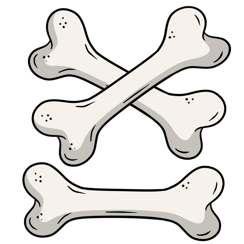 Human bone. Set of skeleton Elements. Dog toy vector