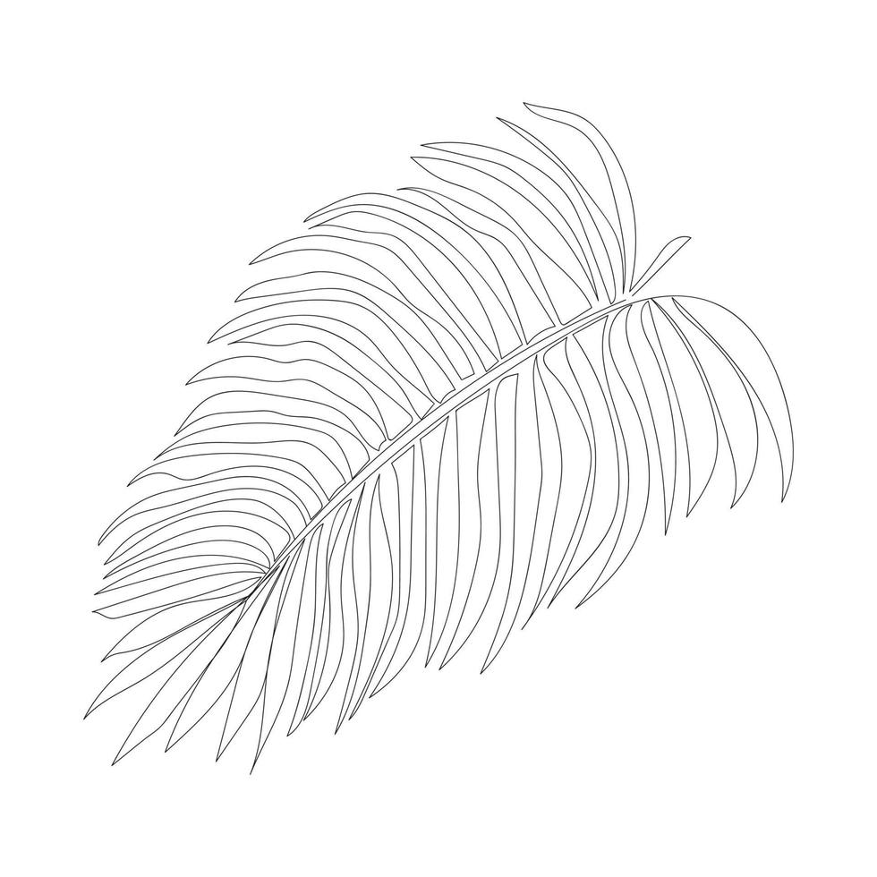Art palm leaves. Outline drawing. Art of minimalism. Modern decor. vector