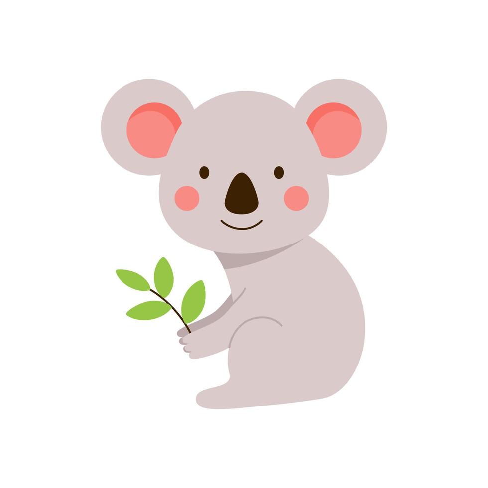 A fluffy little koala sits with a twig in his hands. Gray exotic bear cub hand drawn in cartoon style isolated on white background vector