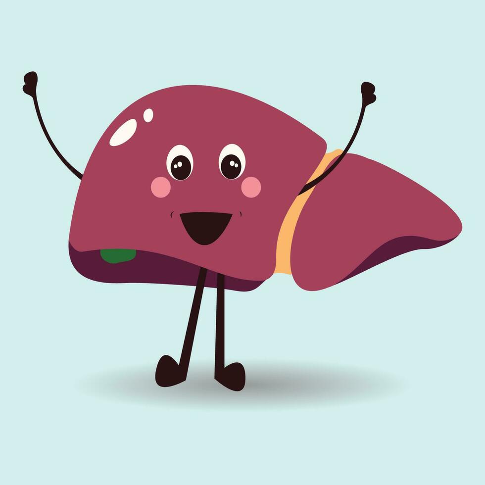 happy healthy human liver cartoon vector