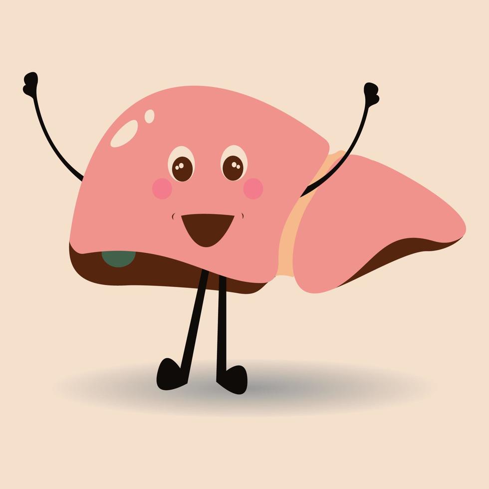 dibujos animados de hígado humano sano feliz 6485477 Vector en Vecteezy