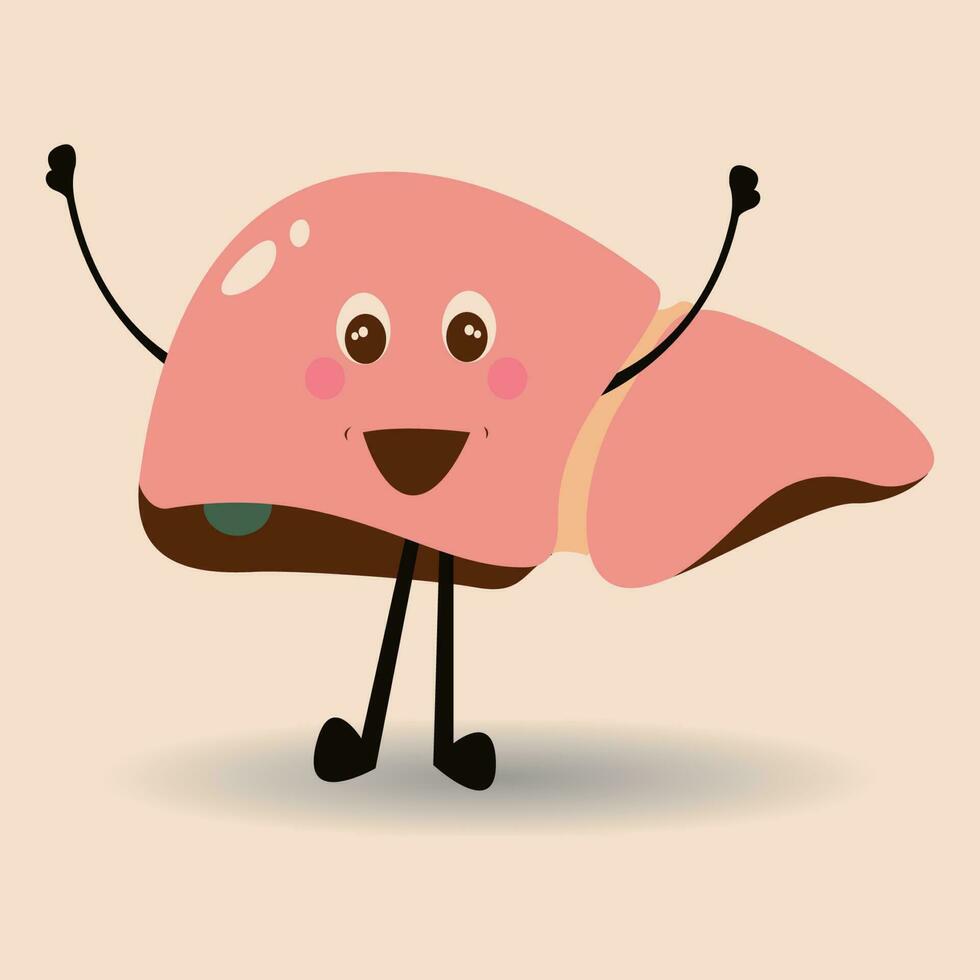 happy healthy human liver cartoon vector