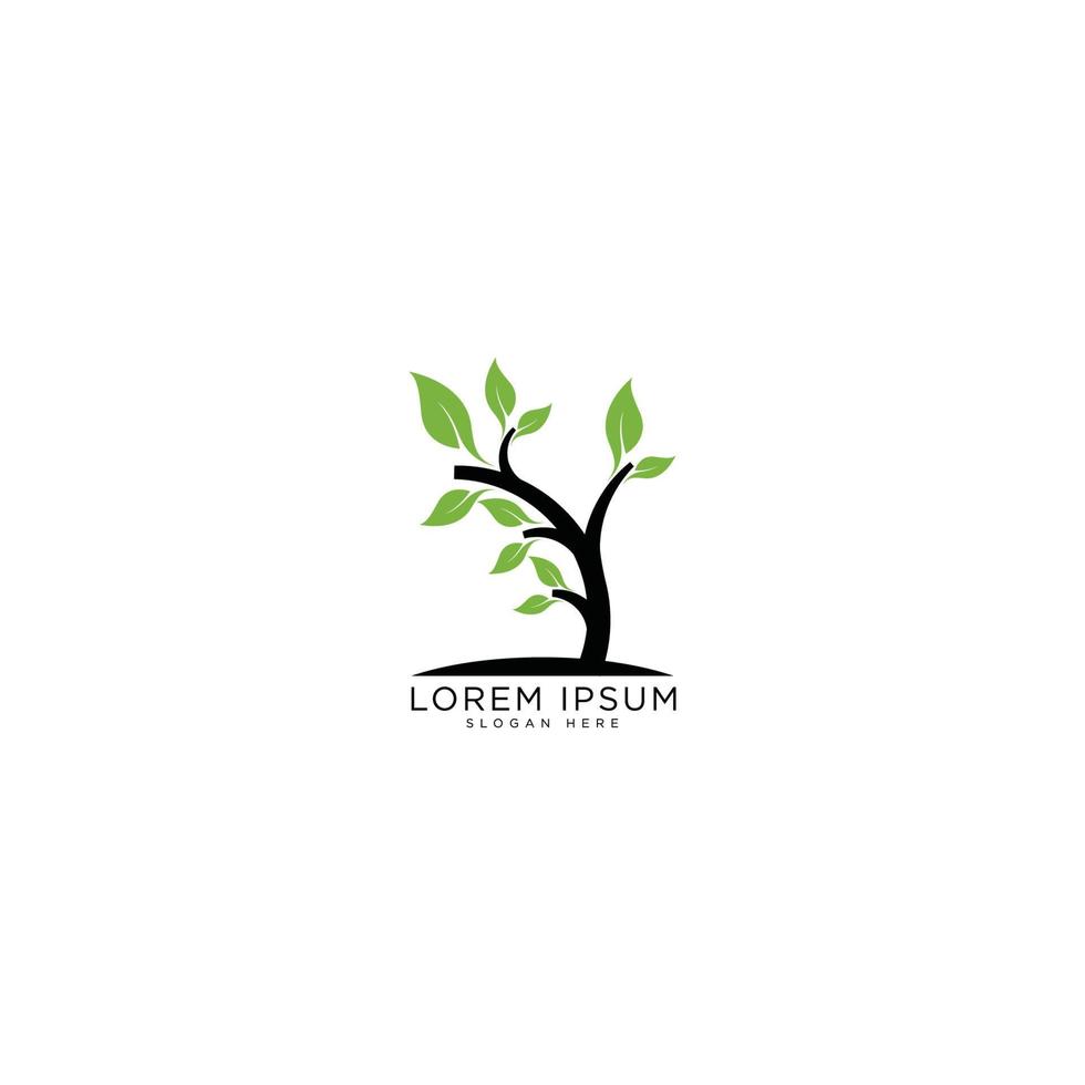 leaf logo design vector