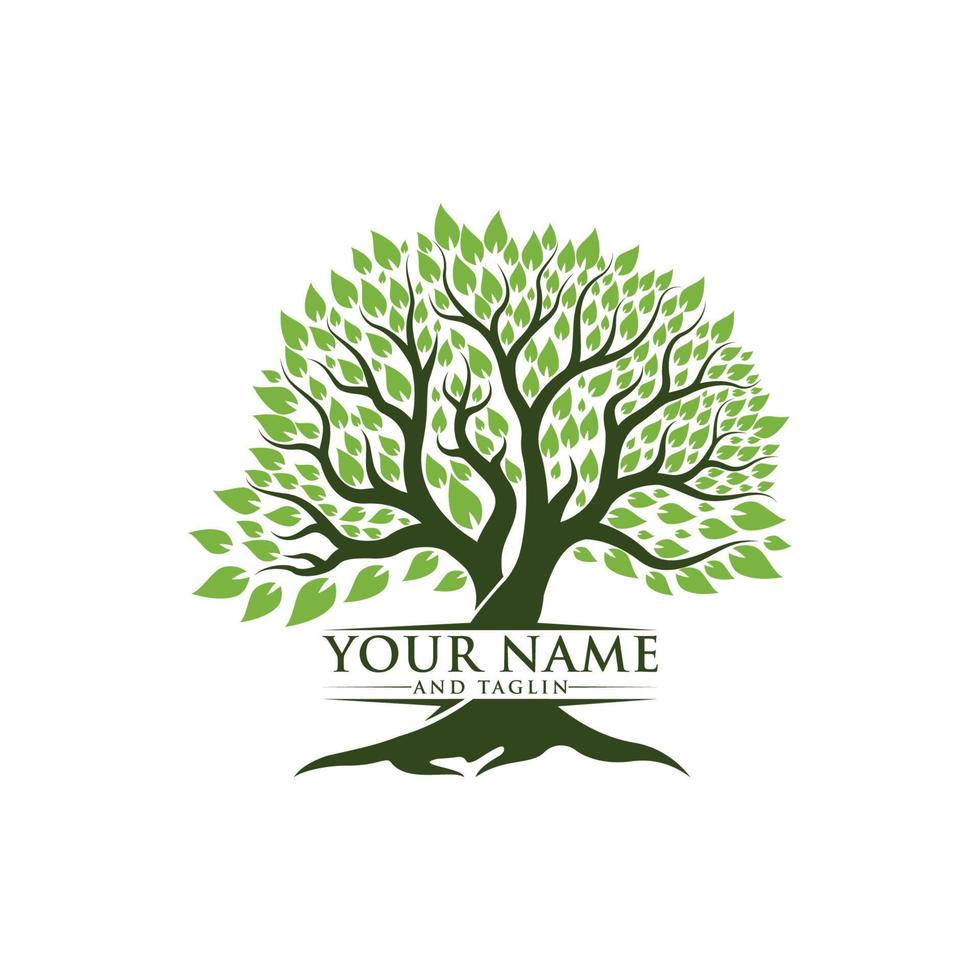 Tree logo design vector