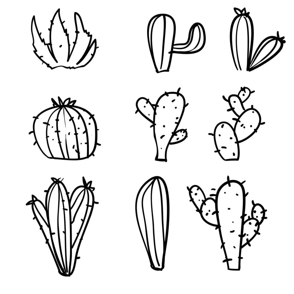 doodle exotic cactuses plants summer desert tropical flora cartoon botanical hand drawn cartoon style vector