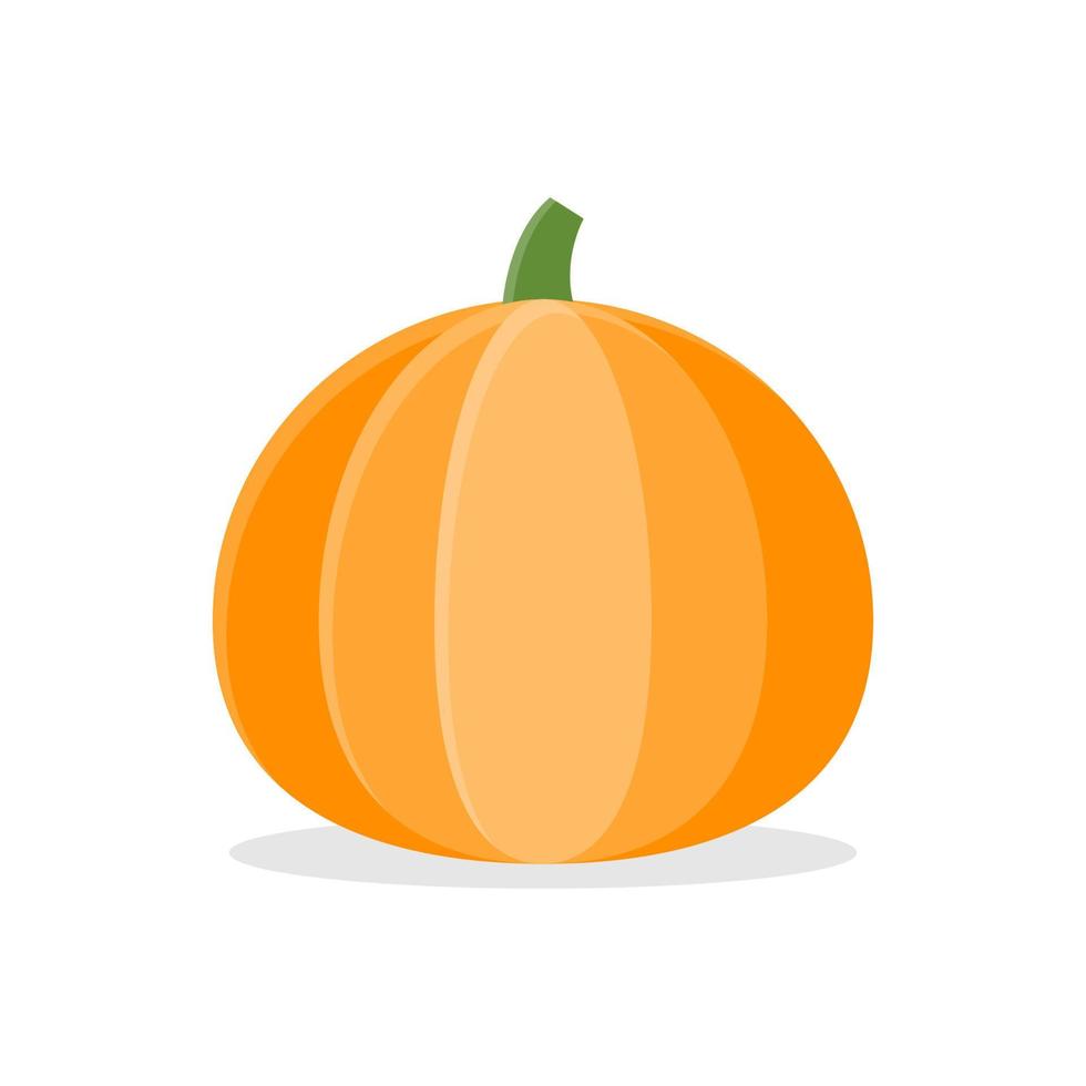 Cute cartoon pumpkin, Vector, Illustration. vector