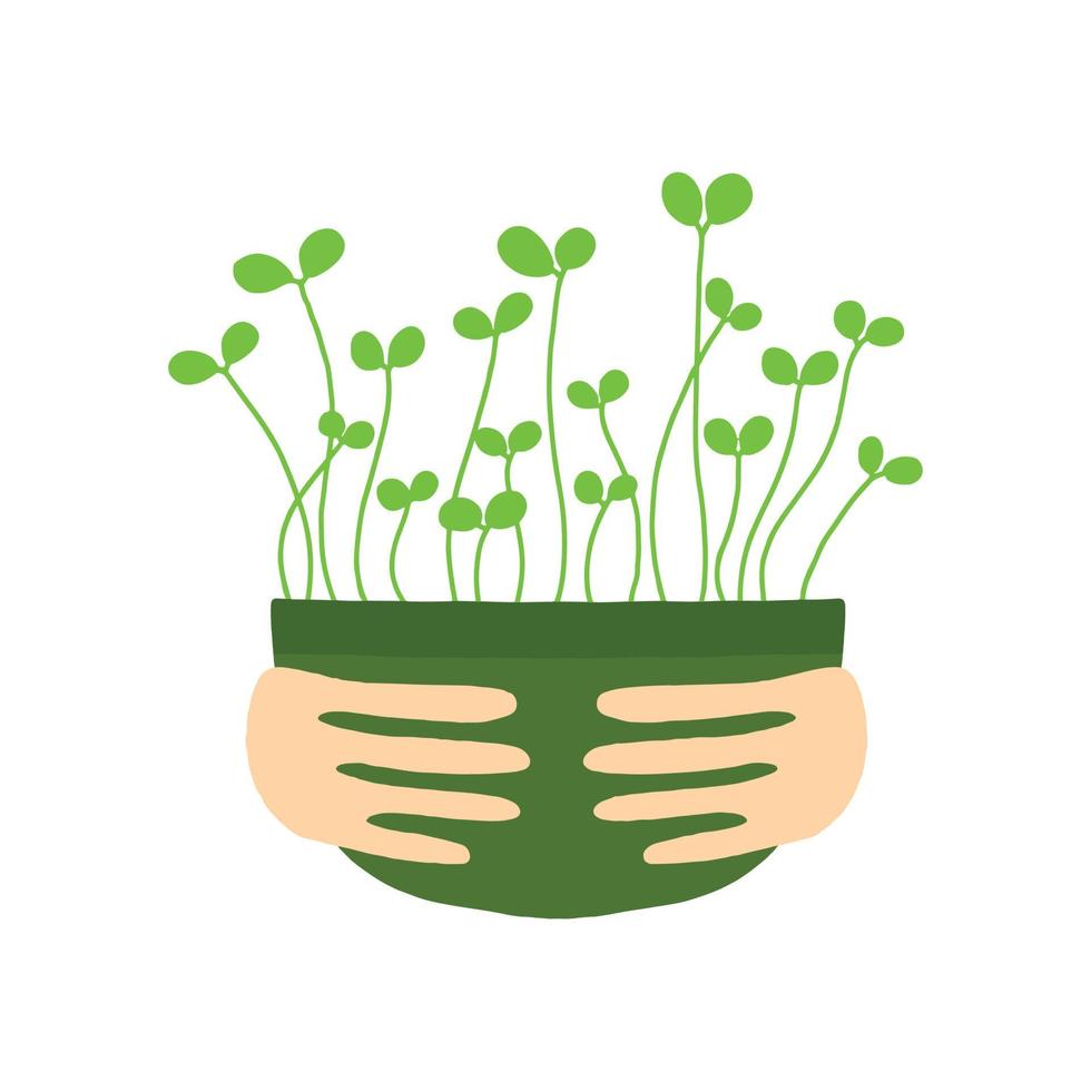 Pot of microgreens. Microgreens peas, radish, onion, arugula. sunflower, beets and others. Vector illustration isolated on white background. Drawn style.