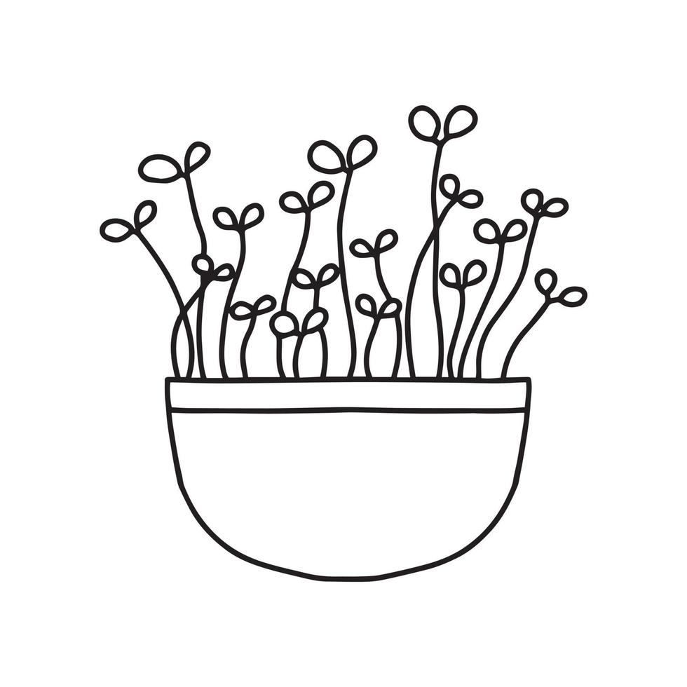 Pot of microgreens. Microgreens peas, radish, onion, arugula. sunflower, beets and others. Vector illustration isolated on white background. Doodle style.