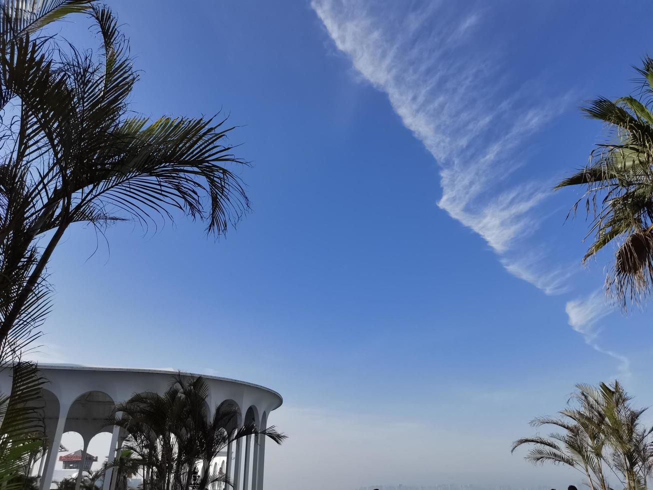 cielo azul, palmera, nube foto