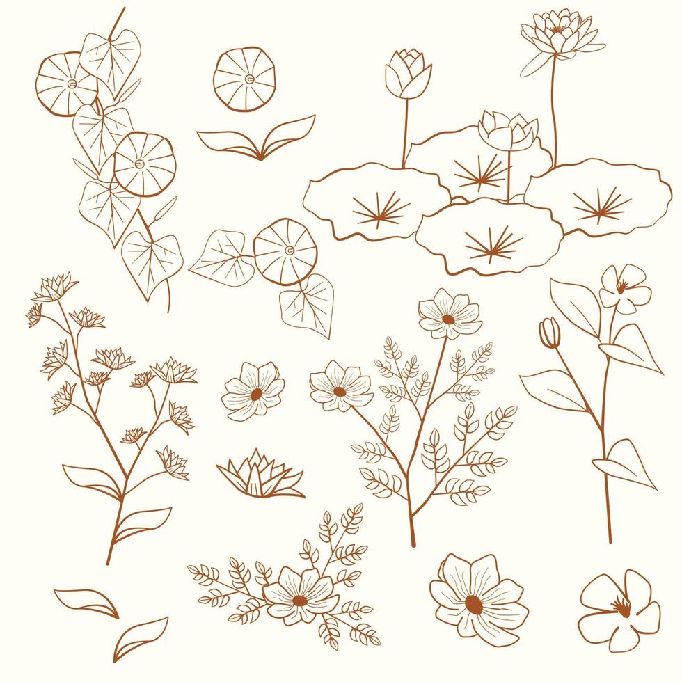 Dahlia Lotus Periwinkle Morning Glory Cosmos Flower Floral Leaf Outline Decoration Element vector
