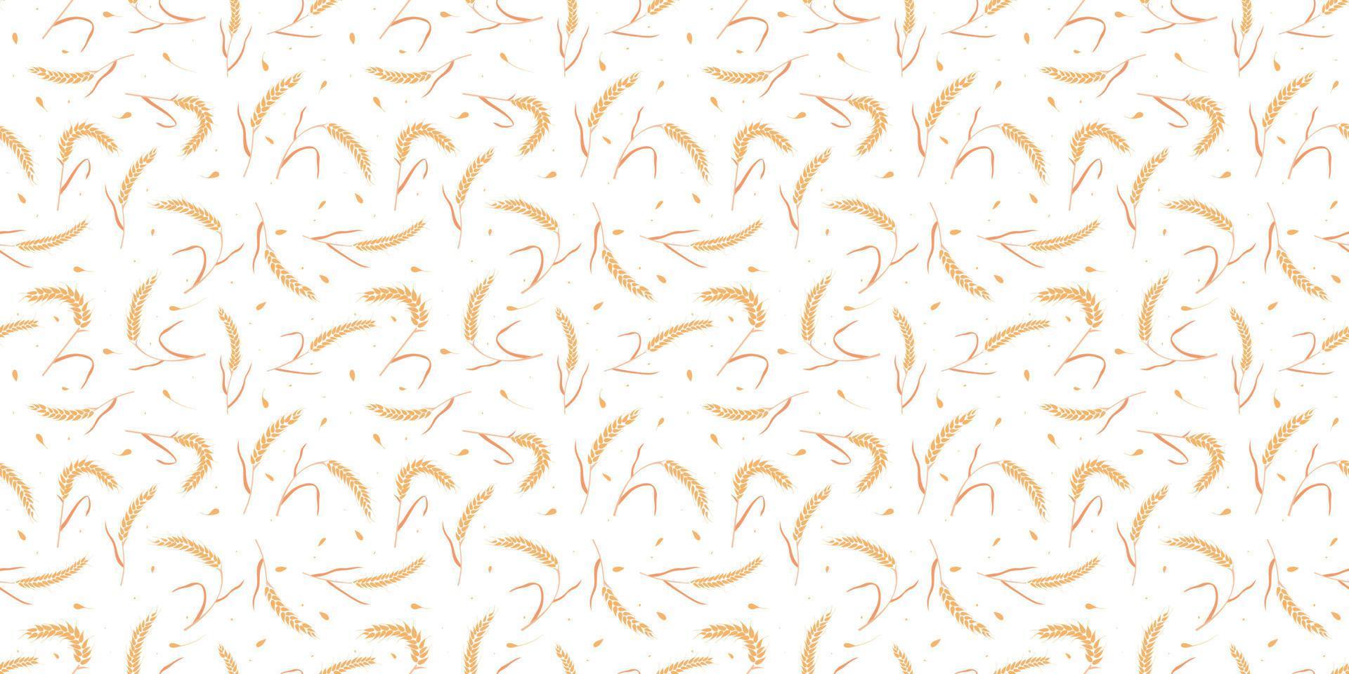 Seamless pattern with whole grain seeds organic, natural ears isolated on white background. vector