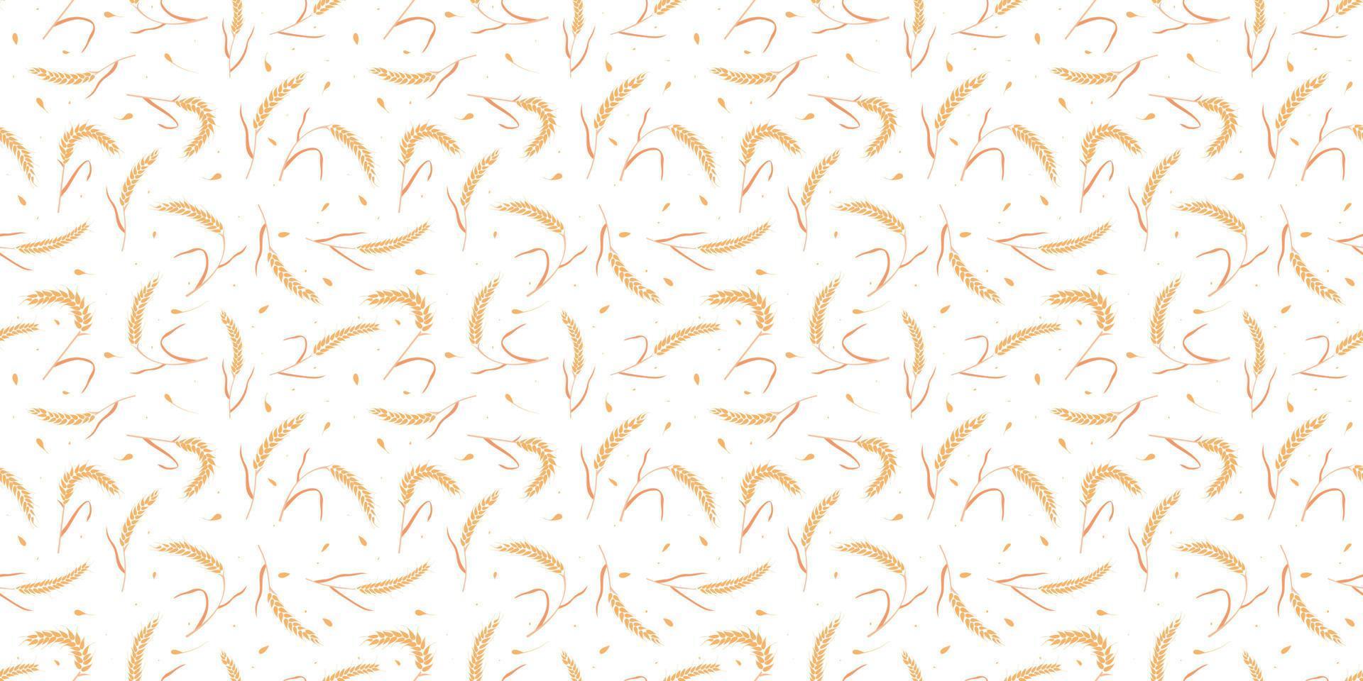 Seamless pattern with whole grain seeds organic, natural ears isolated on white background. vector