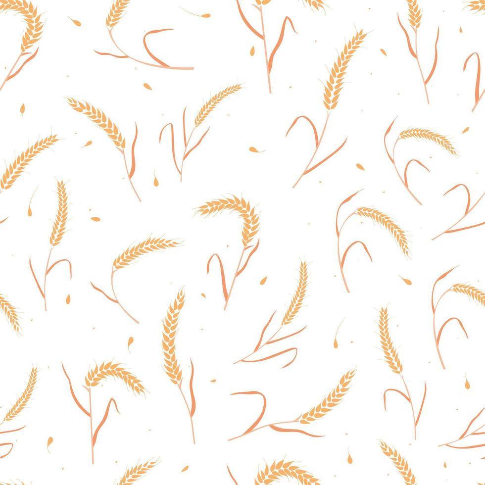 Seamless pattern with whole grain seeds organic, natural ears isolated on white background. vector