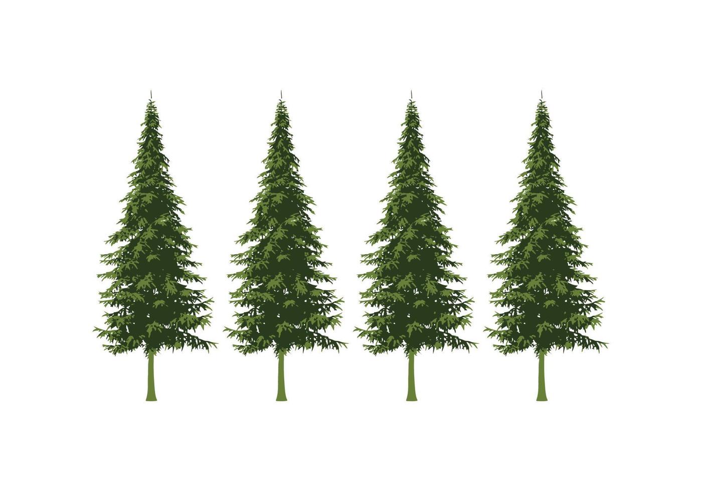 pine tree design illustration vector