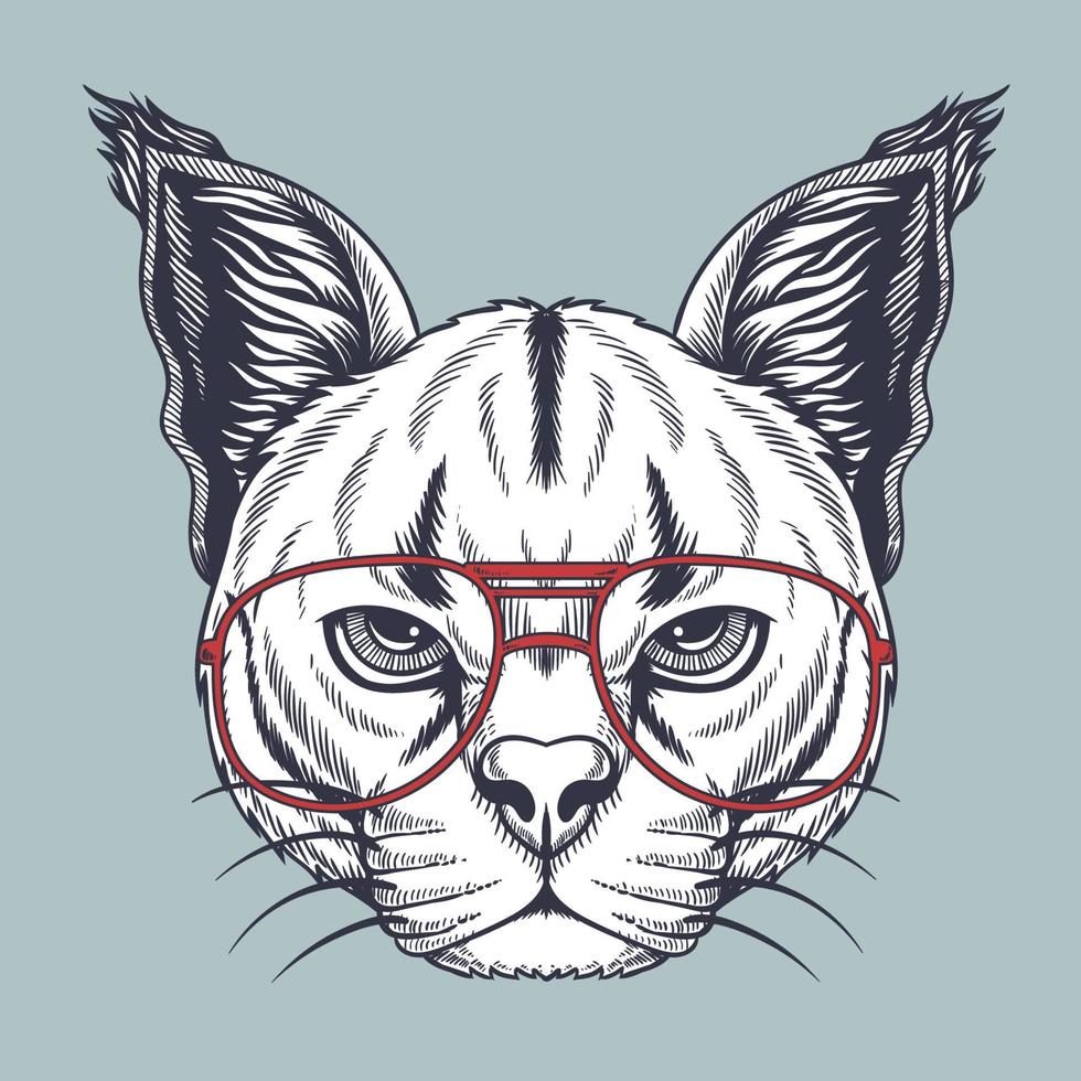 gato salvaje caracal dibujado a mano con gafas rojas vector