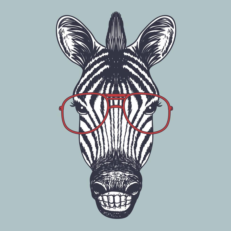 Zebra smile hand drawn wearing a red glasses vector