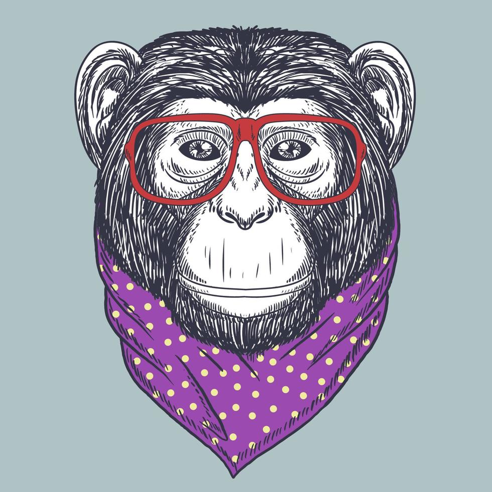 Chimpanzee monkey hand drawn wearing a red glasses and bandana polka dot vector