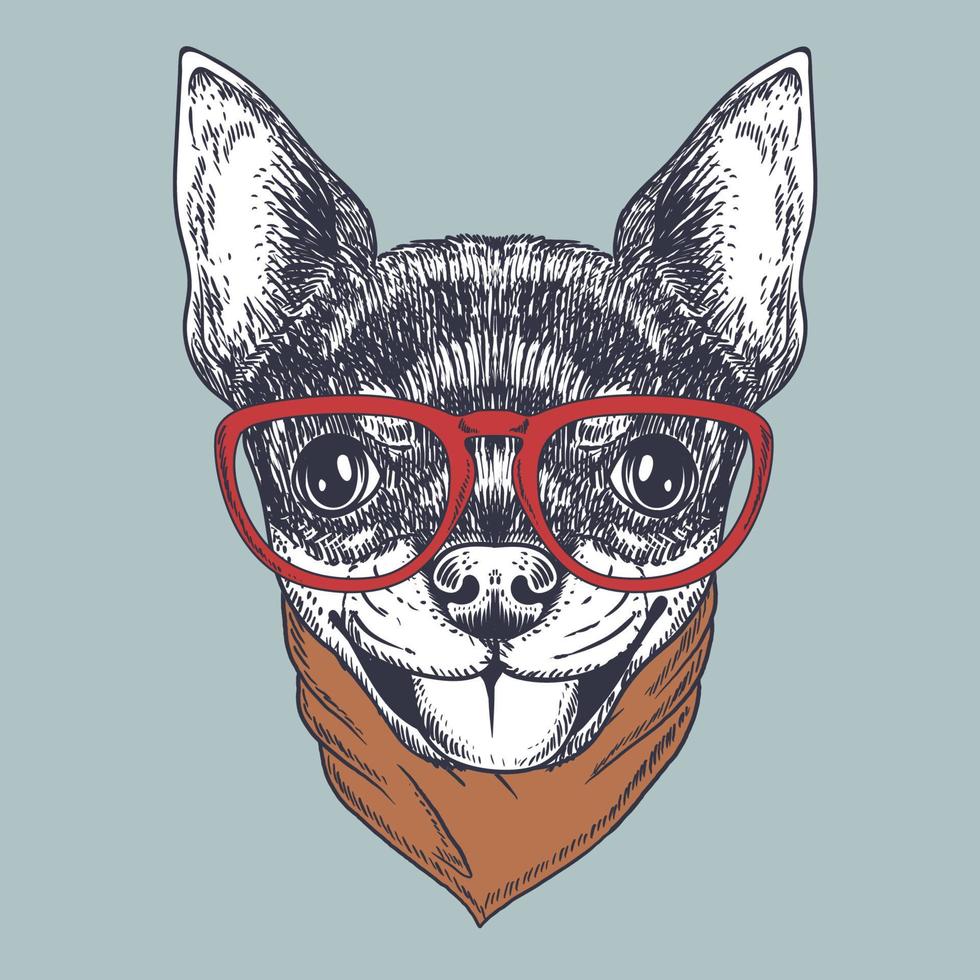 perro chihuahua dibujado a mano con gafas rojas y pañuelo vector