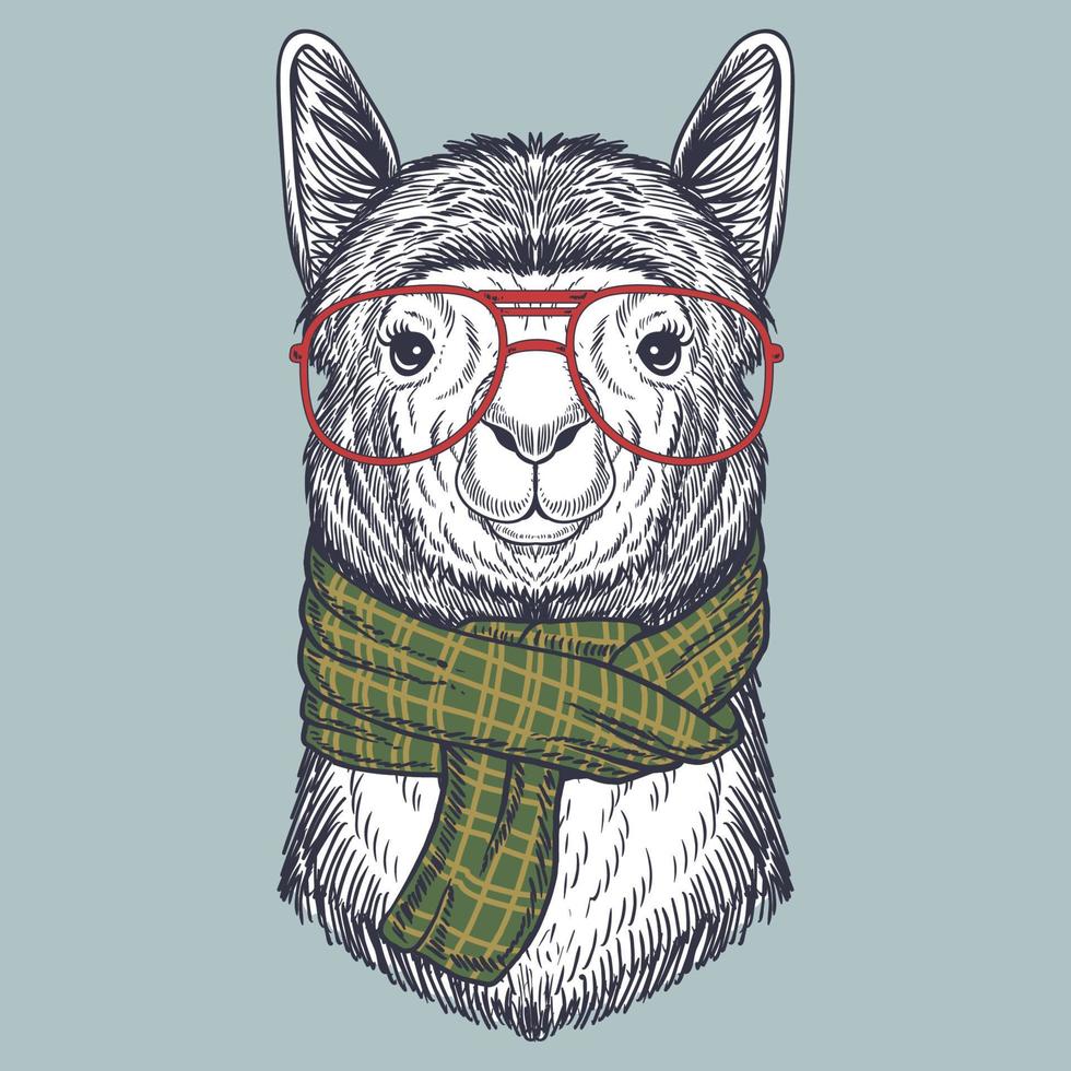 Llama hand drawn wearing a red glasses and scarf vector