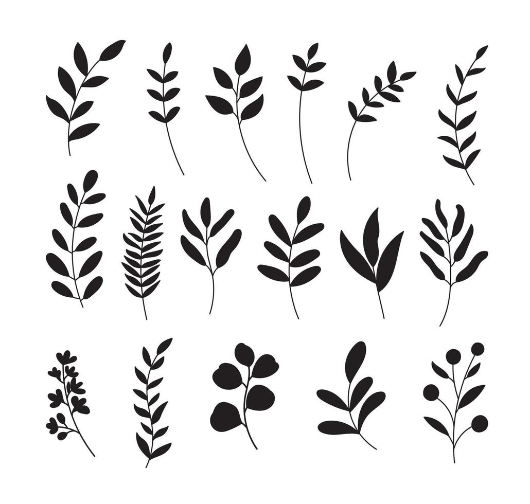 Leaf silhouette set. Hand drawn with leaves and flowers on white background. vector