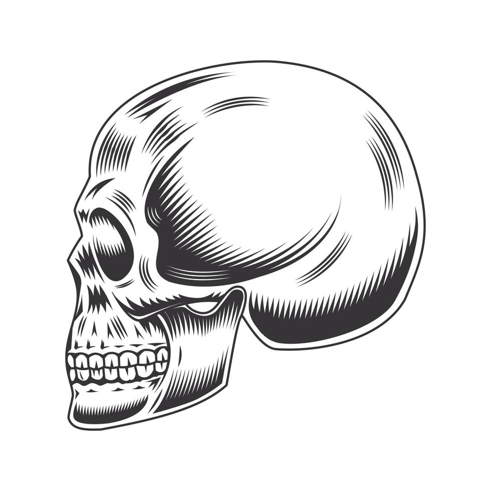 skull head side line art vintage tattoo or print design vector illustratio.