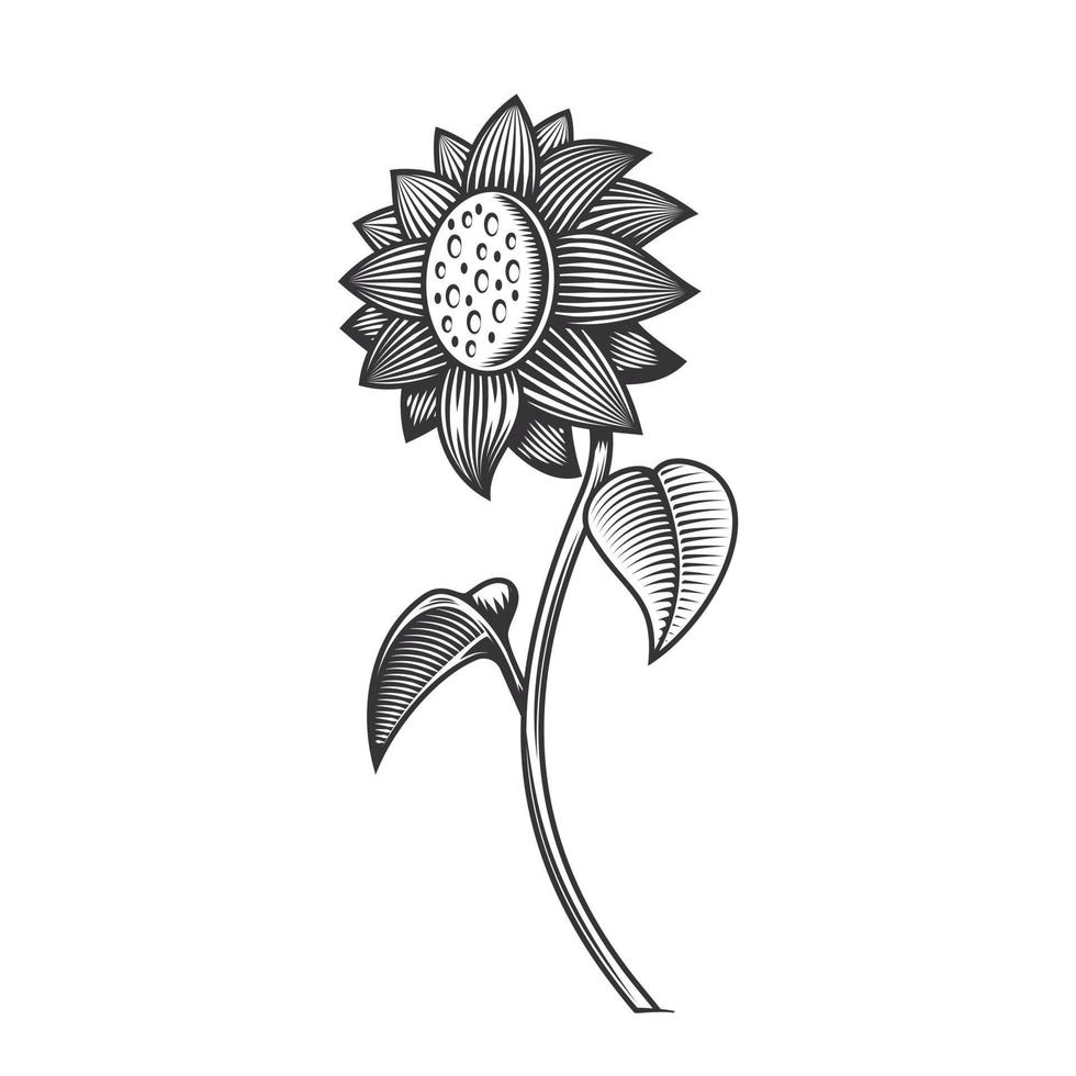 tatuaje vintage de arte de línea de girasol o ilustración vectorial de diseño de impresión. vector