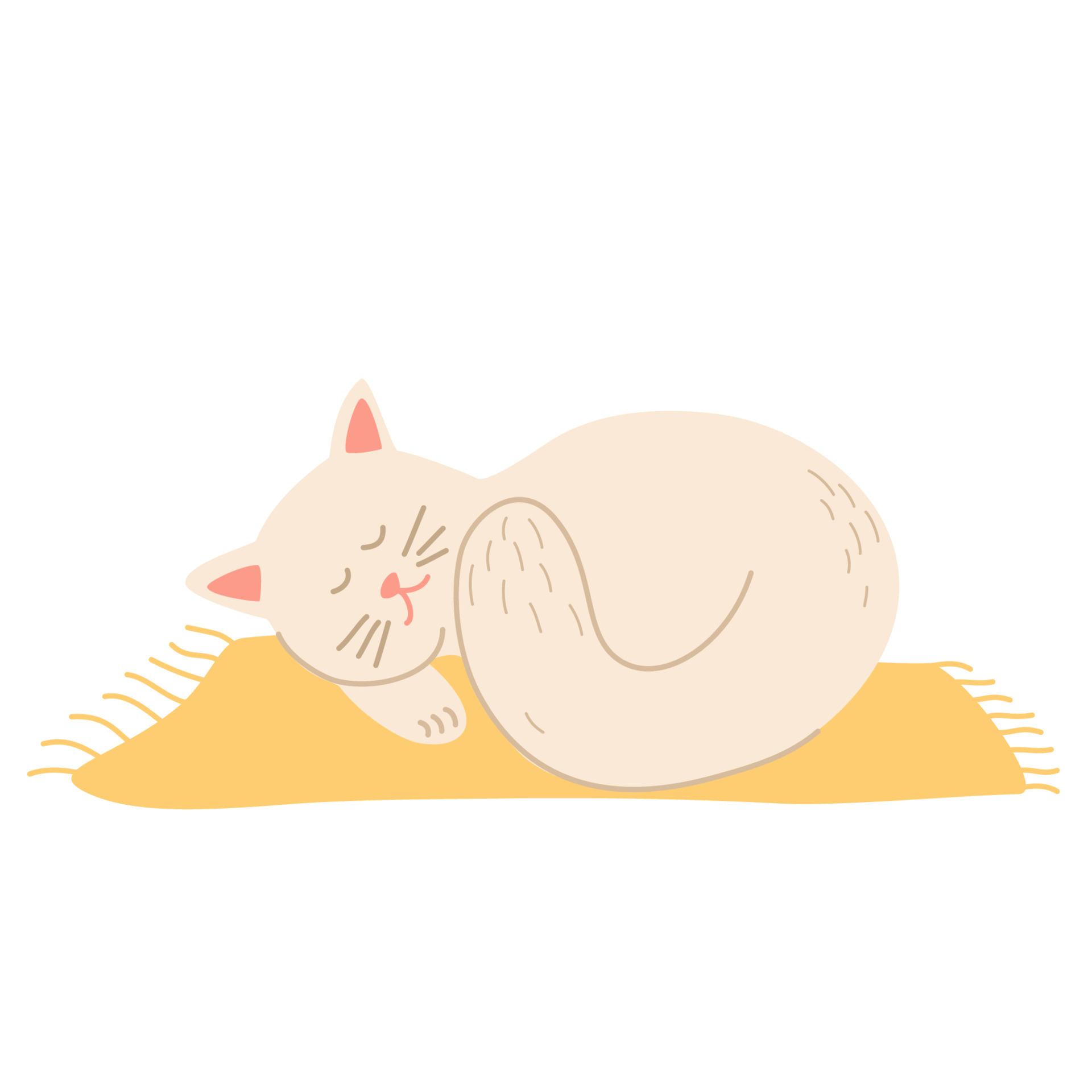 Cat sleeps on the mat. Cute hand draw Sleeping cat. Pet. Coziness and