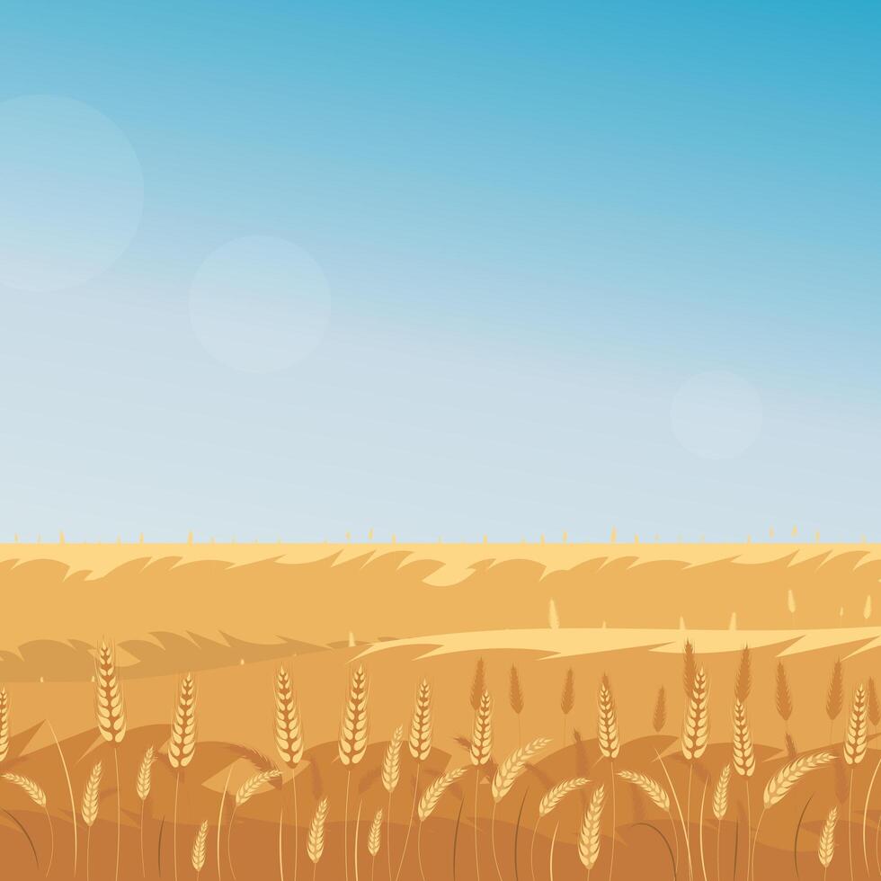 Rural landscape with wheat field and the blue sky on background. Vector illustration.