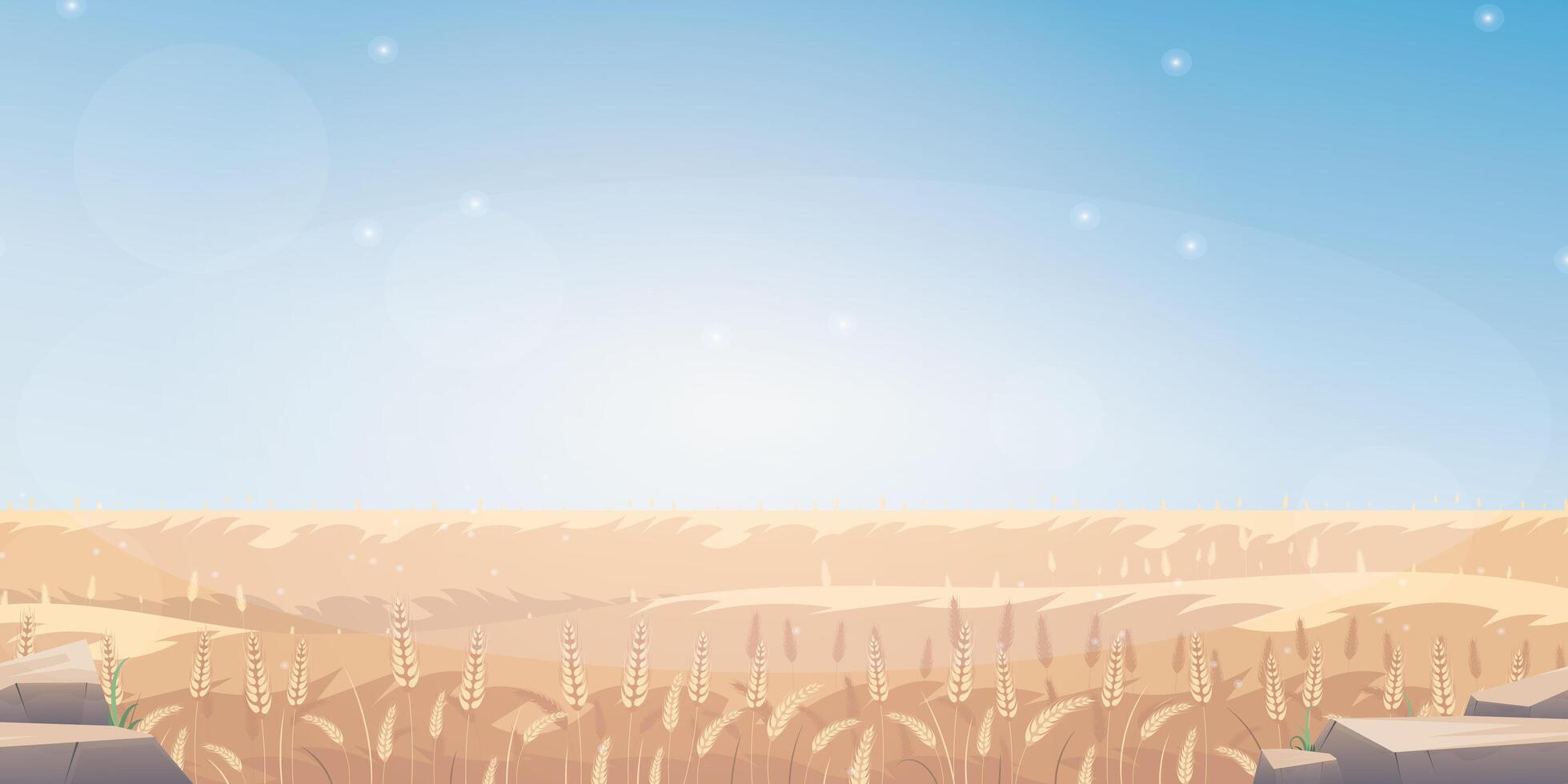 Rural landscape with wheat field and the blue sky on background. illustration. vector