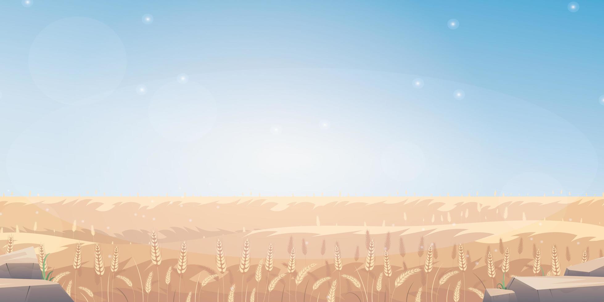 Rural landscape with wheat field and the blue sky on background. Vector illustration.