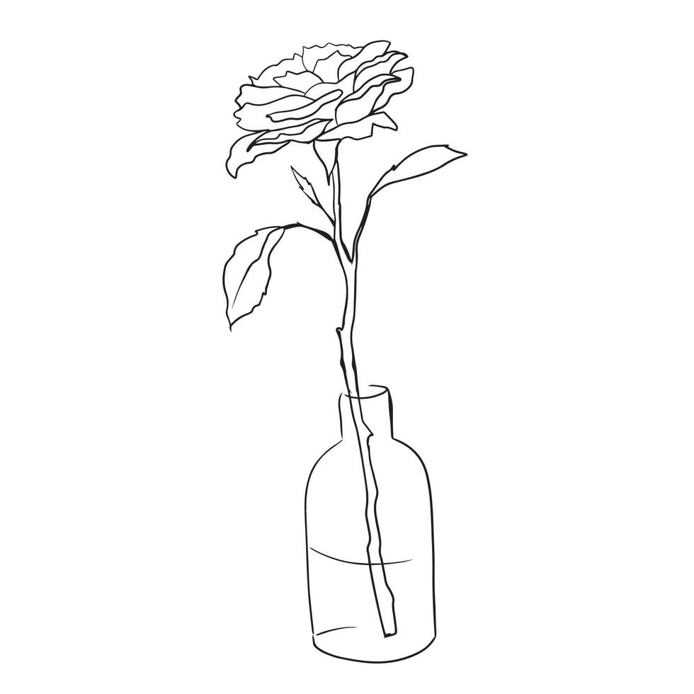 blooming rose flower in a vase, black and white doodle style, vector illustration