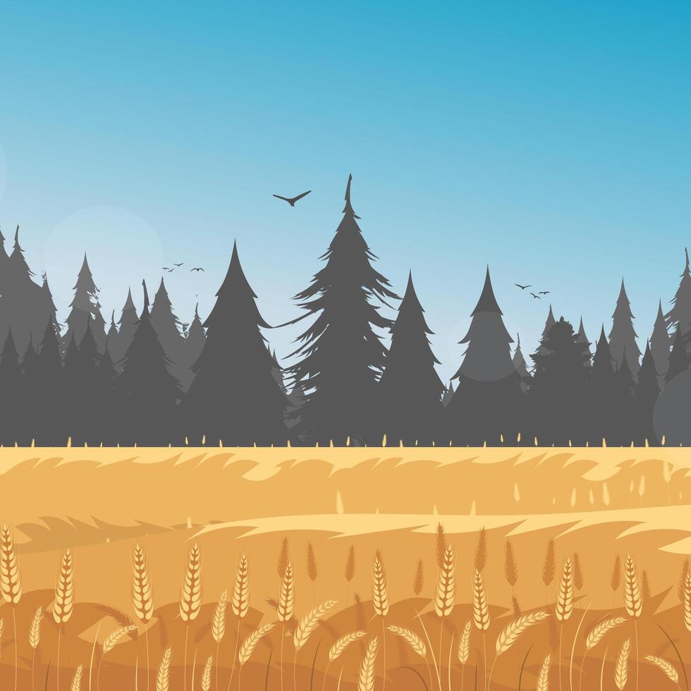 Rural landscape with wheat field and the blue sky on background. illustration. vector
