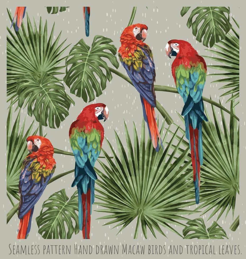 seamless, patrón, mano, dibujado, guacamayo, aves, y, tropical, hojas vector