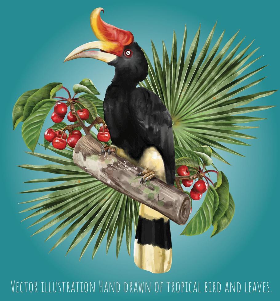 ilustración vectorial dibujada a mano de aves tropicales y hojas vector