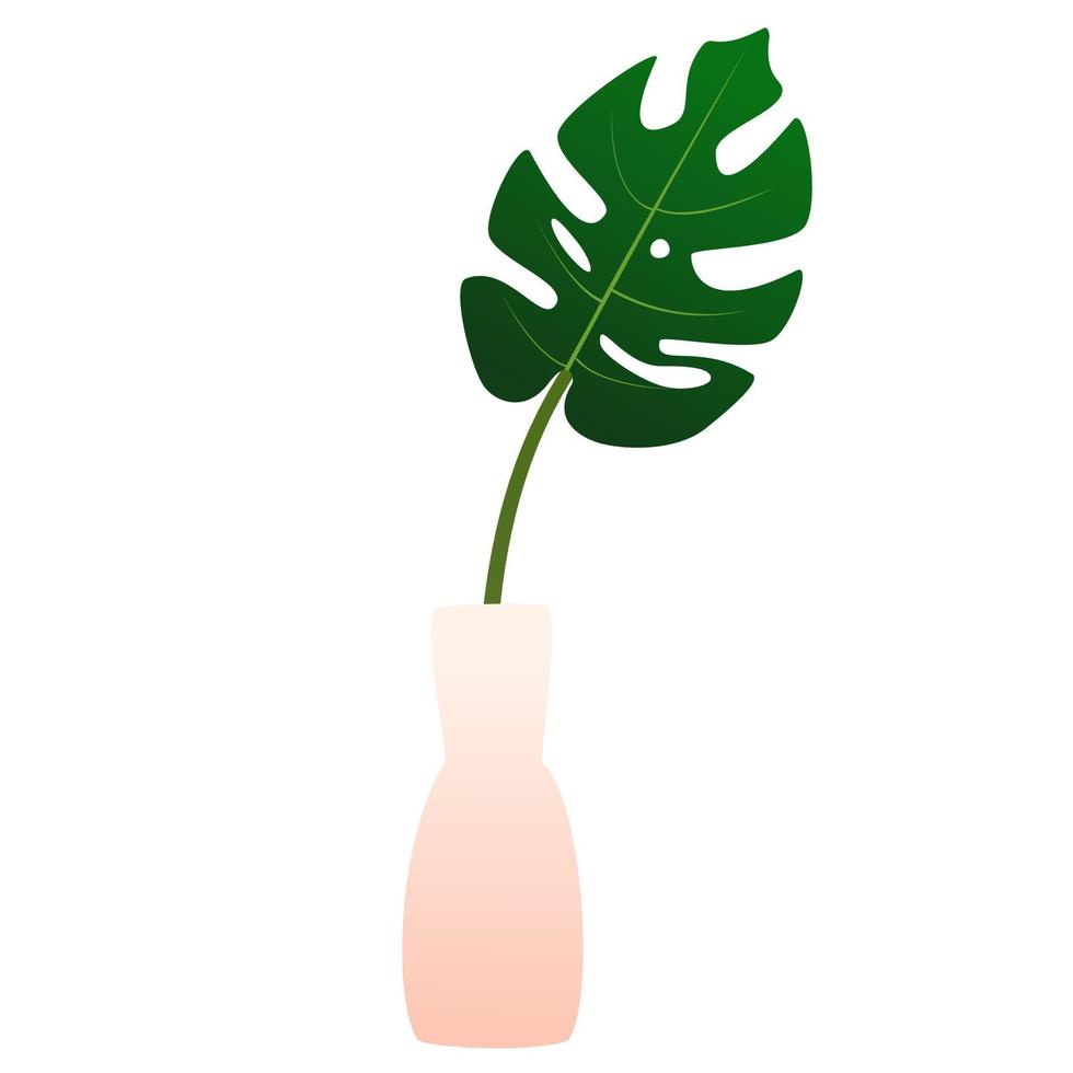 Monstera leaf in a vase. vector
