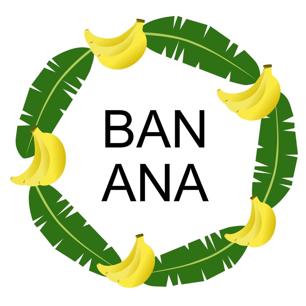 Banana leaf circle frame. vector