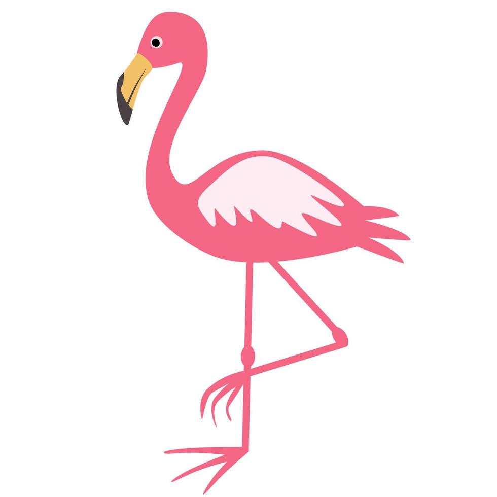 Beautiful flamingo isolated. vector