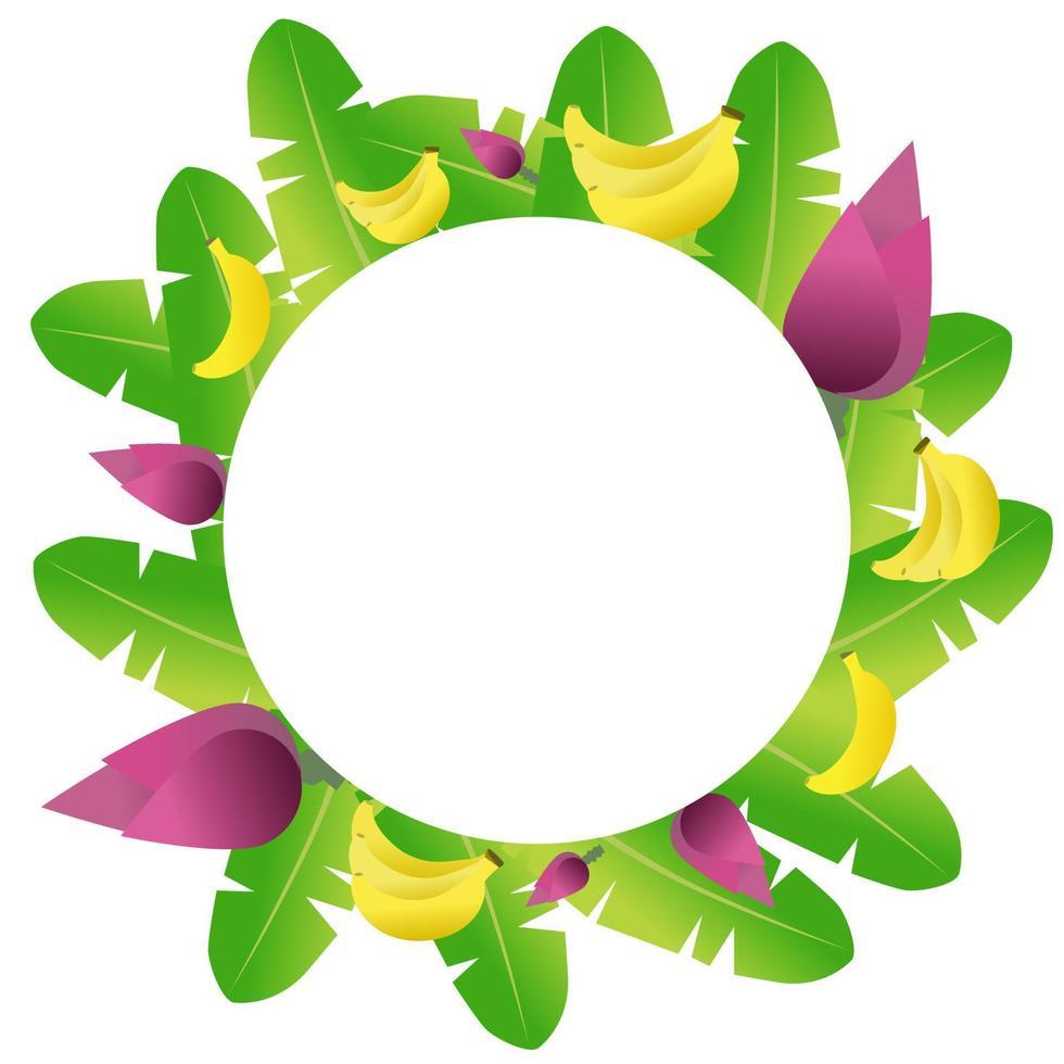Colorful tropical banana leaf frame. vector