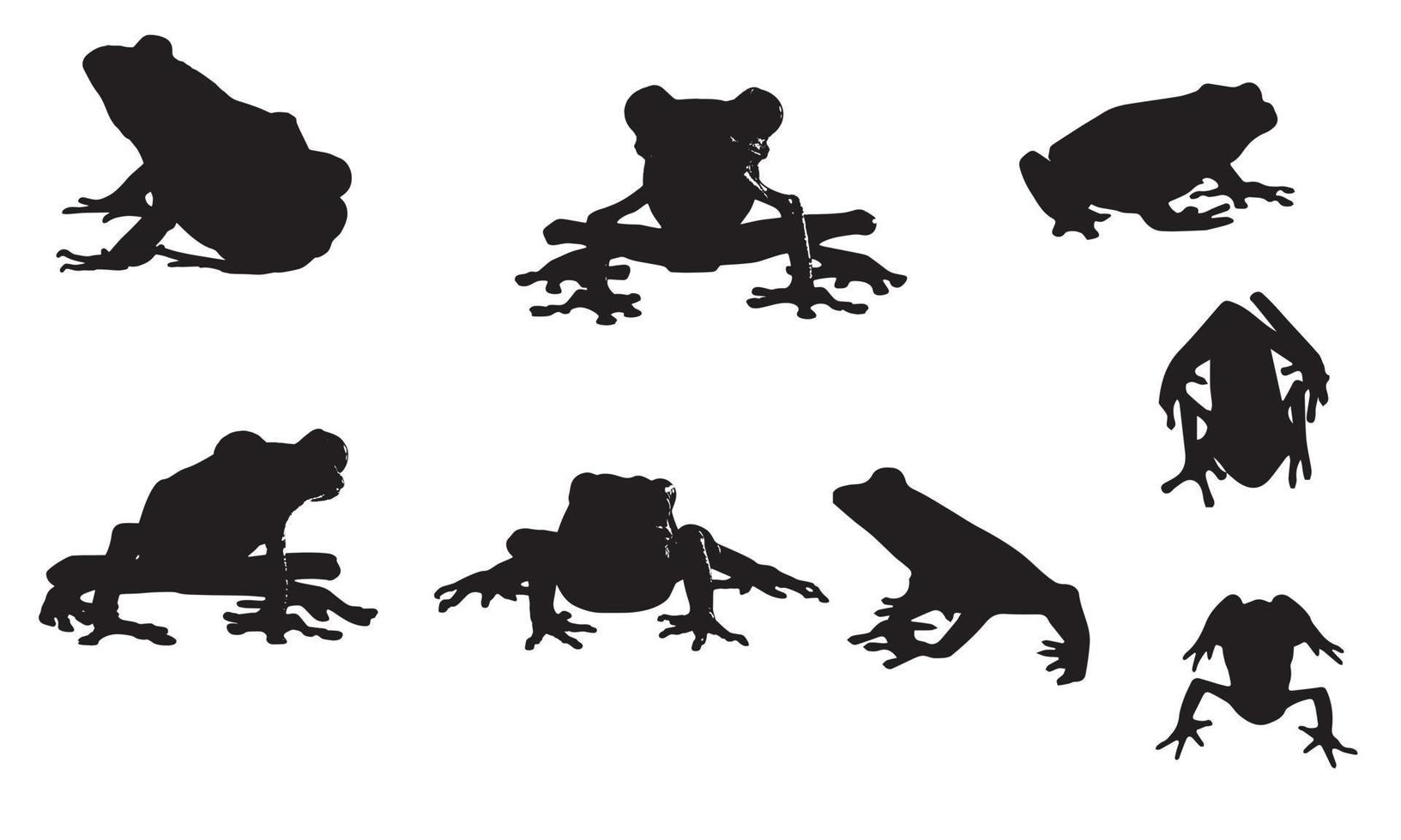 frog vector illustration design black and white collection