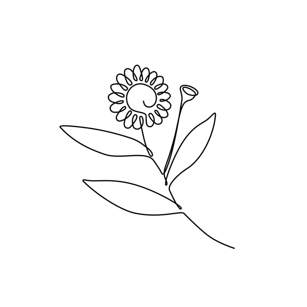 Continuous single line drawing Bhringraj, Eclipta Alba or Eclipta Prostrata, also known as False Daisy is an effective herbal medicinal plant in Ayurvedic medicine. vector illustration.