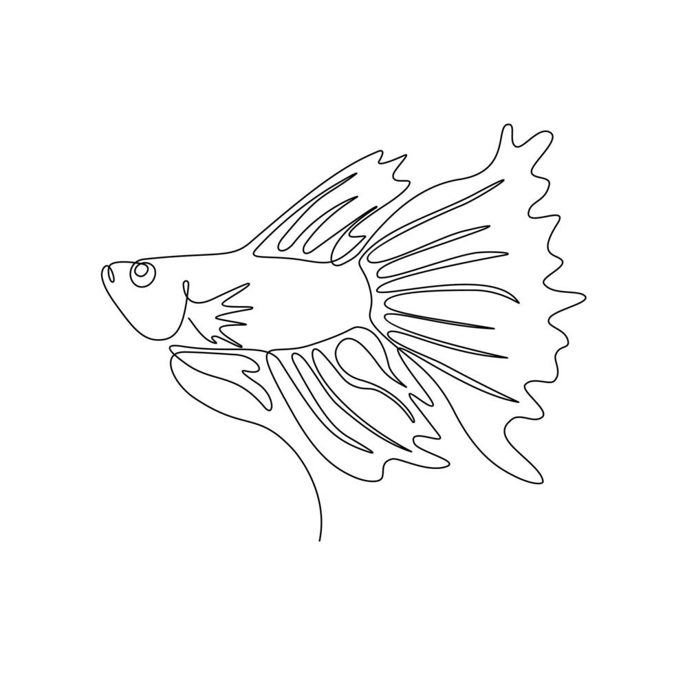 Continuous single line drawing, betta fish or fighting fish, isolated on white background, Vector Illustration.