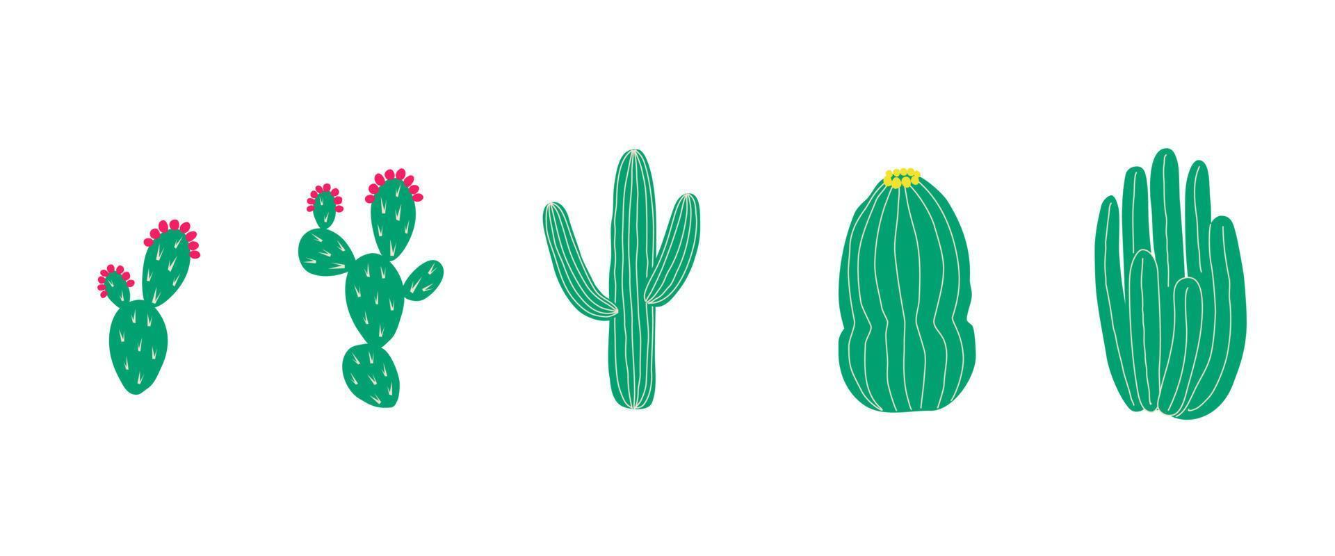 varias ilustraciones de vectores planos de cactus. conjunto de suculentas. desierto al aire libre salvaje y plantas caseras de interior. elementos de diseño para patrón, textil, pegatina, pancarta, afiche.