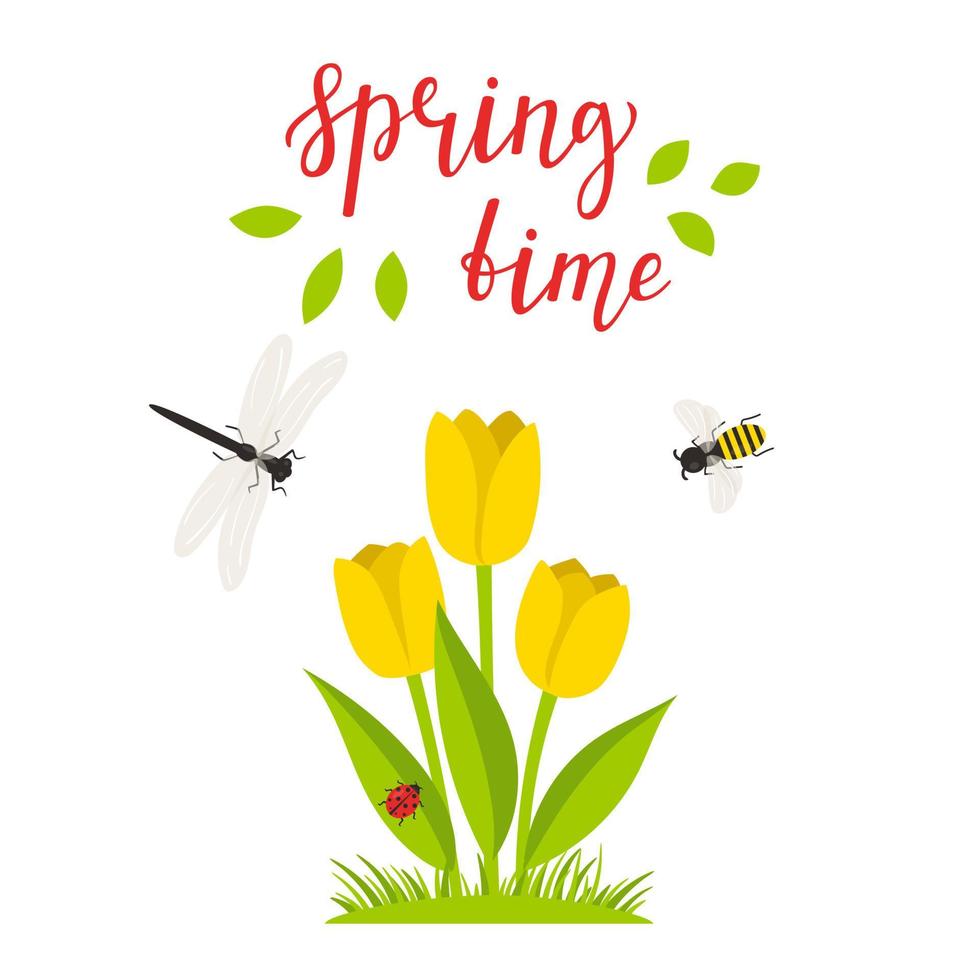 A bush of yellow tulips and a calligraphic inscription - Spring time. Hand lettering. The concept of a spring, summer postcard with a botanical illustration in a cartoon flat style, isolated on white vector