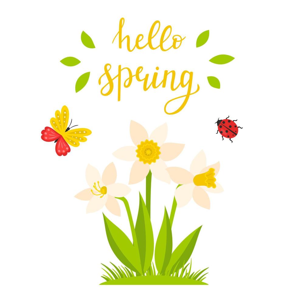 A daffodil bush and a calligraphic inscription-Hello spring. Hand lettering. The concept of a spring, summer card with a botanical illustration in a cartoon flat style, isolated on a white background. vector