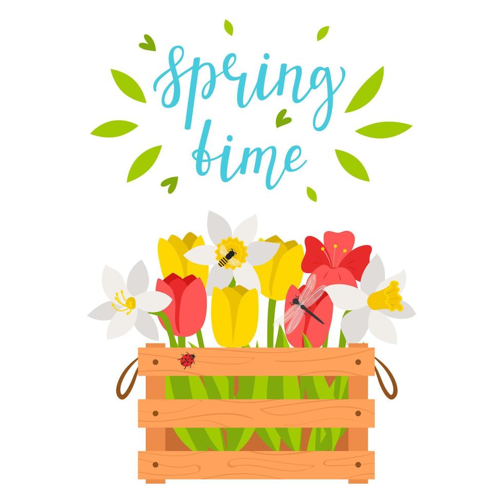 Wooden box with spring flowers, tulips, daffodils, dragonfly, bee. The words Springtime. Bright color vector illustration, postcard in flat style. Isolated on a white background.