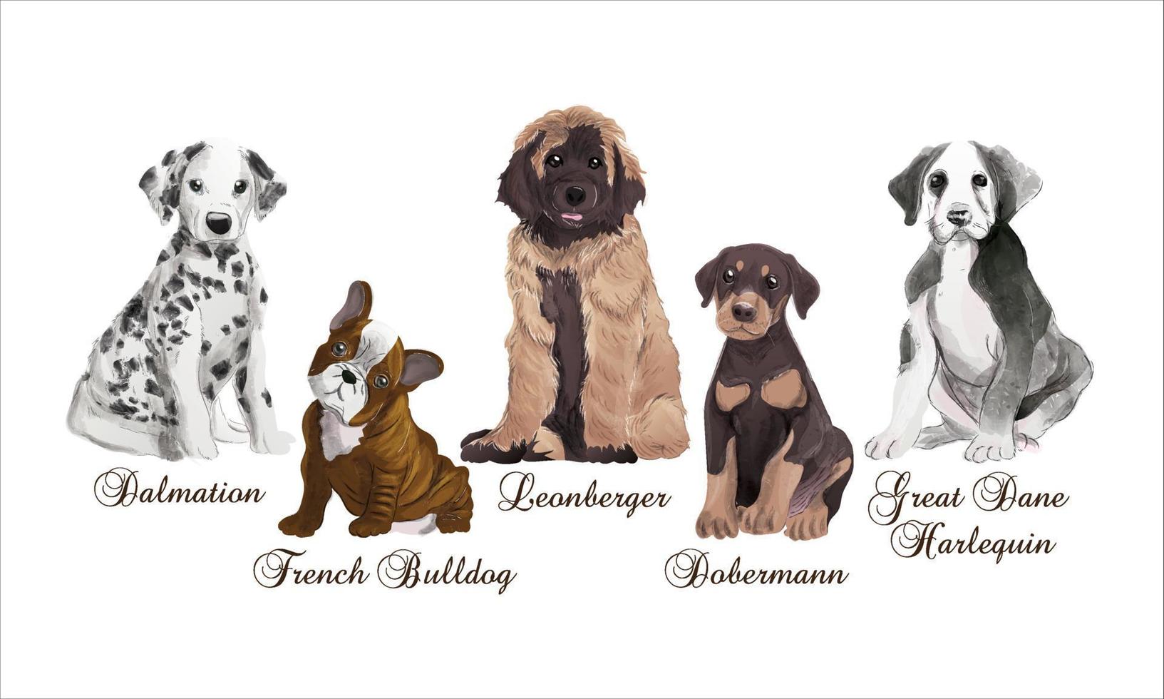 conjunto de perros cachorro retrato acuarela realista vector ilustración sobre fondo blanco con texto.